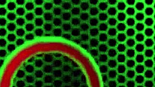 busty julia ann caresses her slick curves in solo play