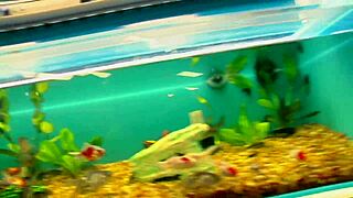 Big tits milf in fishnets bent over for deepthroat and gaping assfuck on bed.