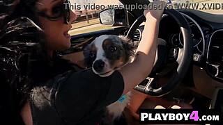 Big Tits Lana James Strips Lingerie to Naked Poses