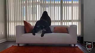 hazel moore waits while rome major licks wet pussy