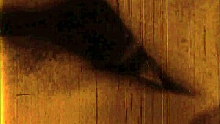 vintage hairy pussy erotic secrets