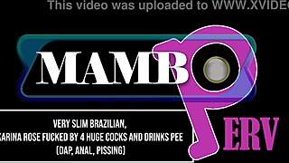 Skinny Brazilian Takes Four Monster Cocks Bareback