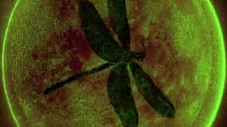 Retro Gangbang Orgy with Hairy Pussies and Monster Cocks in Vintage Beaver Banging