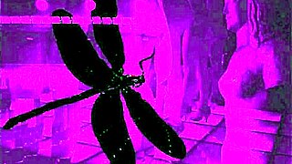 Retro Gangbang Orgy with Hairy Pussies and Monster Cocks in Vintage Beaver Banging