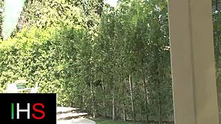 Sexy curly brunette shaven pussy teen rides huge black monster cock cowgirl doggystyle creampie cum in mouth muff diving