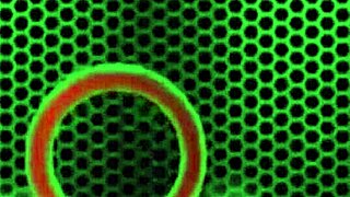 hey penny pax, tease us more with those natural tits and gaping ass