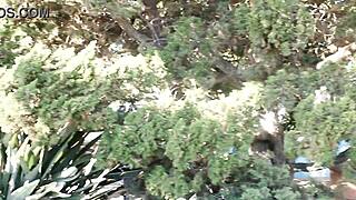 Caught Shaved Pussy Masturbation in Public Balboa Park!