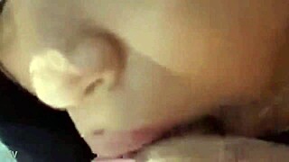 project 002 exciting highlights! 😎