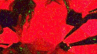 fucks kali ryder bent over in sex dungeon wca style