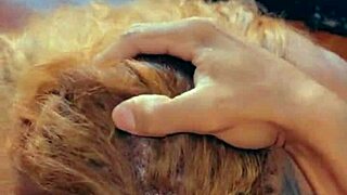 i gag on huge 27cm horse cock travesti blowjob leitada face cum