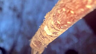 Im having insane sex with real life witch in woods bent over doggystyle creampie her ass with big black cock!!