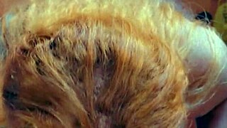 i gag on huge 27cm horse cock travesti blowjob leitada face cum