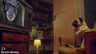 perfect blonde candee licious flaunts lingerie ass and tits!