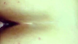 Brunette Prostitute Fucked Hard Doggystyle Bent Over Big Ass Exposed