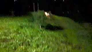 outdoor forest creampie hits deep as latina milf mommy rides dildo to orgasm in lingerie