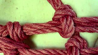 damn this tied-up babe deepthroats my throbbing cock so good 😩🍆💦