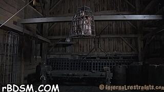 i love this rough bdsm contest where sluts get bound spanked and fucked hard