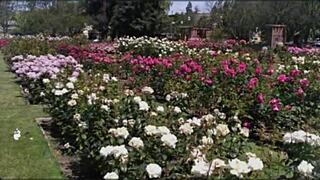 bangla wife fucks friend in romantic group sex