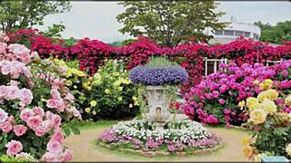 bangla wife fucks friend in romantic group sex