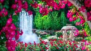 bangla wife fucks friend in romantic group sex