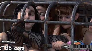 Pornstar's perfect body bent over for hardcore spanking, doggy pounding and oral bliss