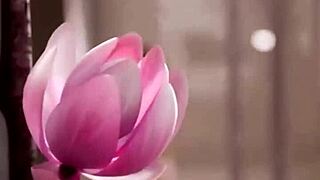 Big breast Loba rubs bald pussy 😏 Morrigan shakes tits Blackfire fingers stepsis comp! 🔥