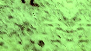 cool black copacabana guy heads to ukraine chasing foreign ladies