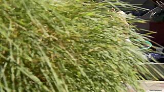 tasha reign spreads juicy big pussy lips fingering her huge clit wet