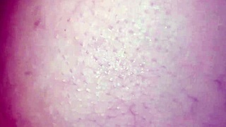 quick anal rip before parents arrive hope they don't notice