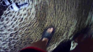 glasses girl sneaks blowjob and hard fuck backstage wrestling shoot