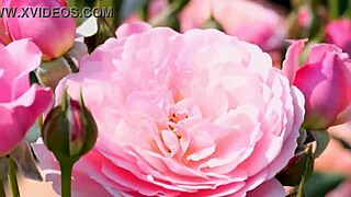 omg my college friend pounded my pussy so deep in steamy group fuck!!