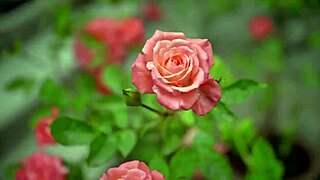 omg my college friend pounded my pussy so deep in steamy group fuck!!