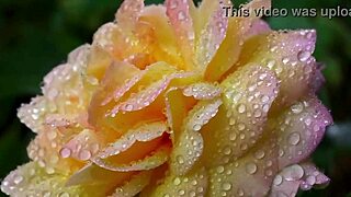 omg my college friend pounded my pussy so deep in steamy group fuck!!