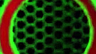 Naughty Maggie Green Begs For Your Cock In Her Lingerie!