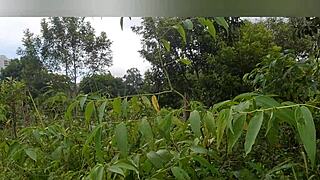 brazilian exhibitionist couple flashes tits then fucks hard in car on busy street during day