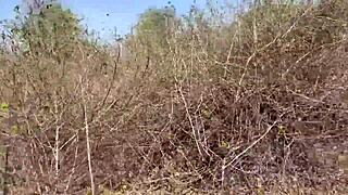 sneaky jungle fuck hits desi girl's huge ass with thick indian meat