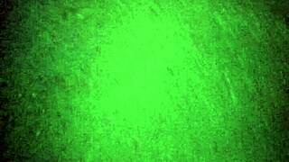 Latina Prostitute's Perfect Heels and Feet Captured Candidly in Forest Slowmotion