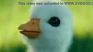 Interviewing Big Tits Commentators in Shitpost Series