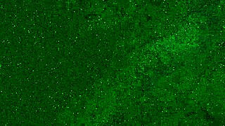 Crazy 18yo Girl Pees in Panties on Public Beach Then Sunbathes Wet