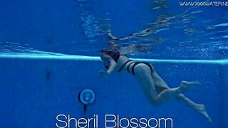 sheril blossom's hot russian bikini tease goes underwater at the beach pool 😍🌊