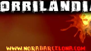 nora barcelona, you teasing that dildo on webcam for us spanish teen fans?