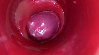 Camera films powerful cum flooding oiled pussy internals