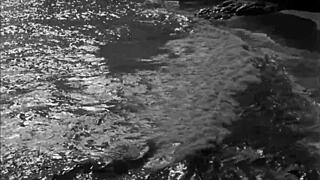 vintage retro drawings reveal hairy antique beavers and erotic pussies in classic detail