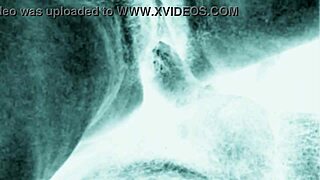 vintage retro drawings reveal hairy antique beavers and erotic pussies in classic detail