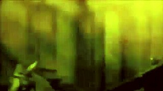 vintage retro drawings reveal hairy antique beavers and erotic pussies in classic detail