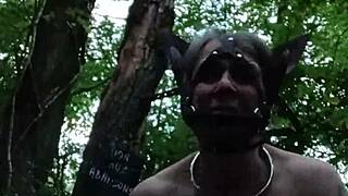 french ponygirl slave bound in forest for outdoor humiliation and rough doggystyle