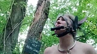 french ponygirl slave bound in forest for outdoor humiliation and rough doggystyle