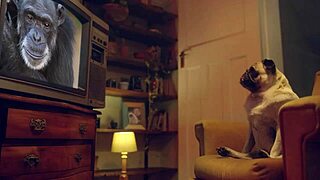 Katrina Moreno's Big Tits Bounce as She Gets Fucked Hard and Cum Covered