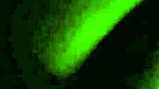 Argentina's Thick Ass Tempts Endless Curves