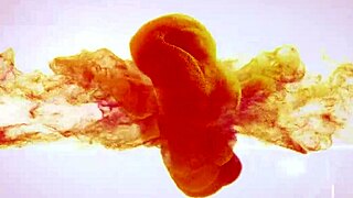 Blonde oprah masturbates wet puffy pussy lips natural tits in mirror close-up striptease